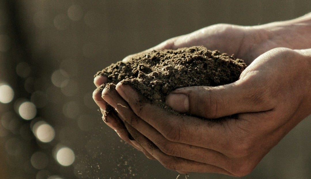 bokeh photography of person carrying soil