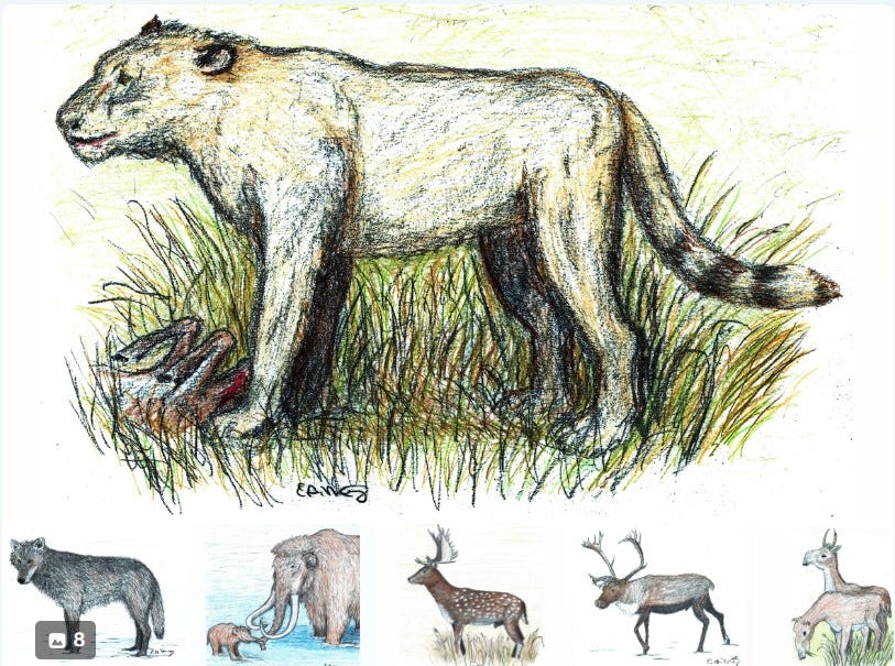 Illustrated Ice Age Animal Index - E. A. Meigs