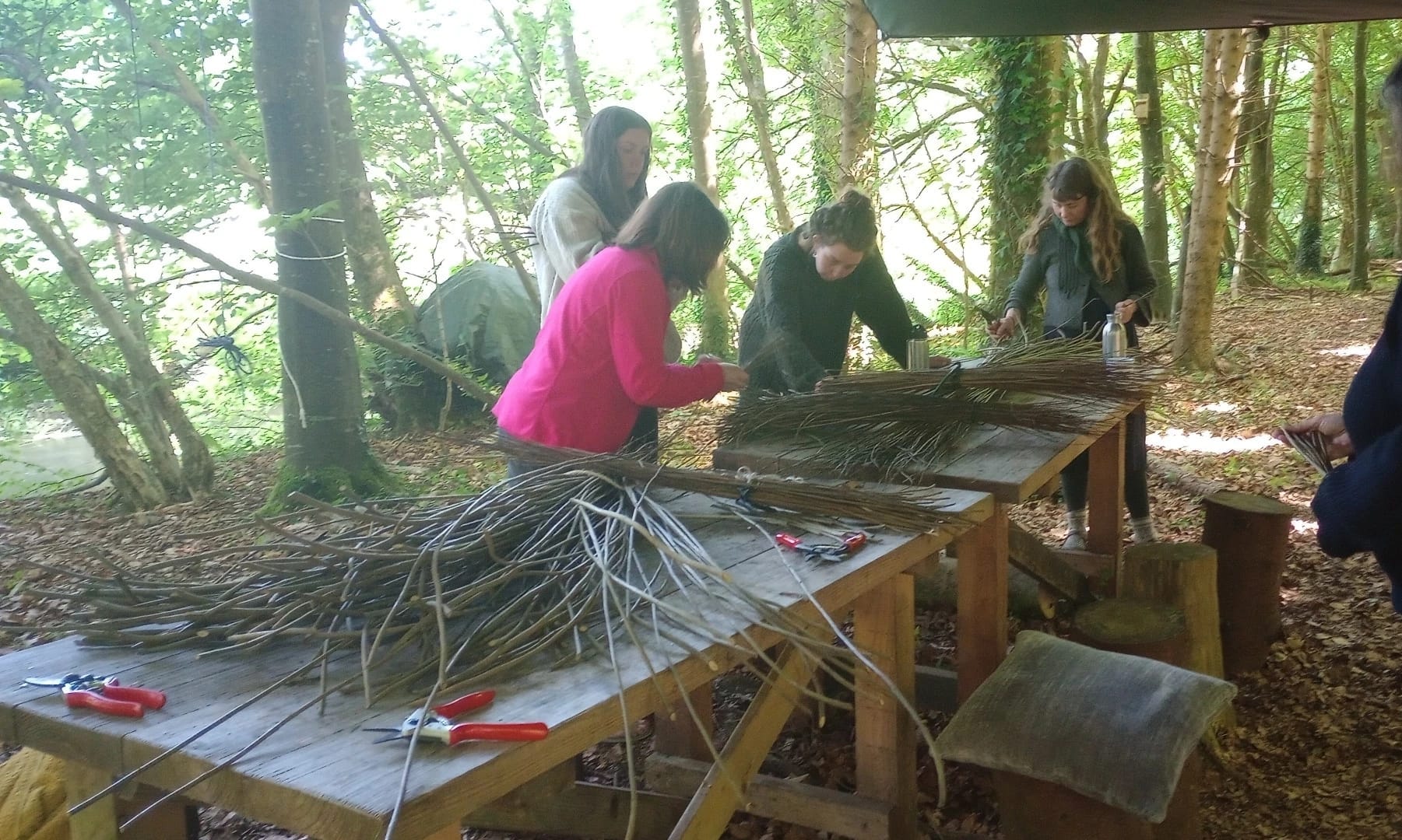 The two tables of the dining area are laden with bundles of willow of varying thicknesses, colours and lengths. Me and three of my fellow weavers gather around, chatting as we select our willow fronds.