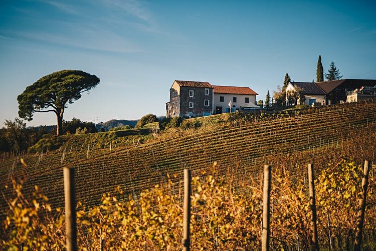 Erné, the producer of today's featured Vermentino. Photo from importer Skurnik Wines.