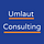 The Data Coach by Umlaut Consulting