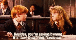 It's Leviosa, Not Leviosaaa! Harry Potter And The, 47% OFF