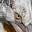 Jonathan Couser's avatar
