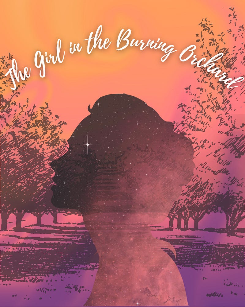 A silhouette of a girl made with partially transparent and star-filled black sky is overlayed on a background that has a peach and purple sunset background and a sketched illustration of a orchard. White cursive writing arches over the top of the image that says “the girl in the burning orchard.”