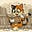 The Curious Cat's avatar