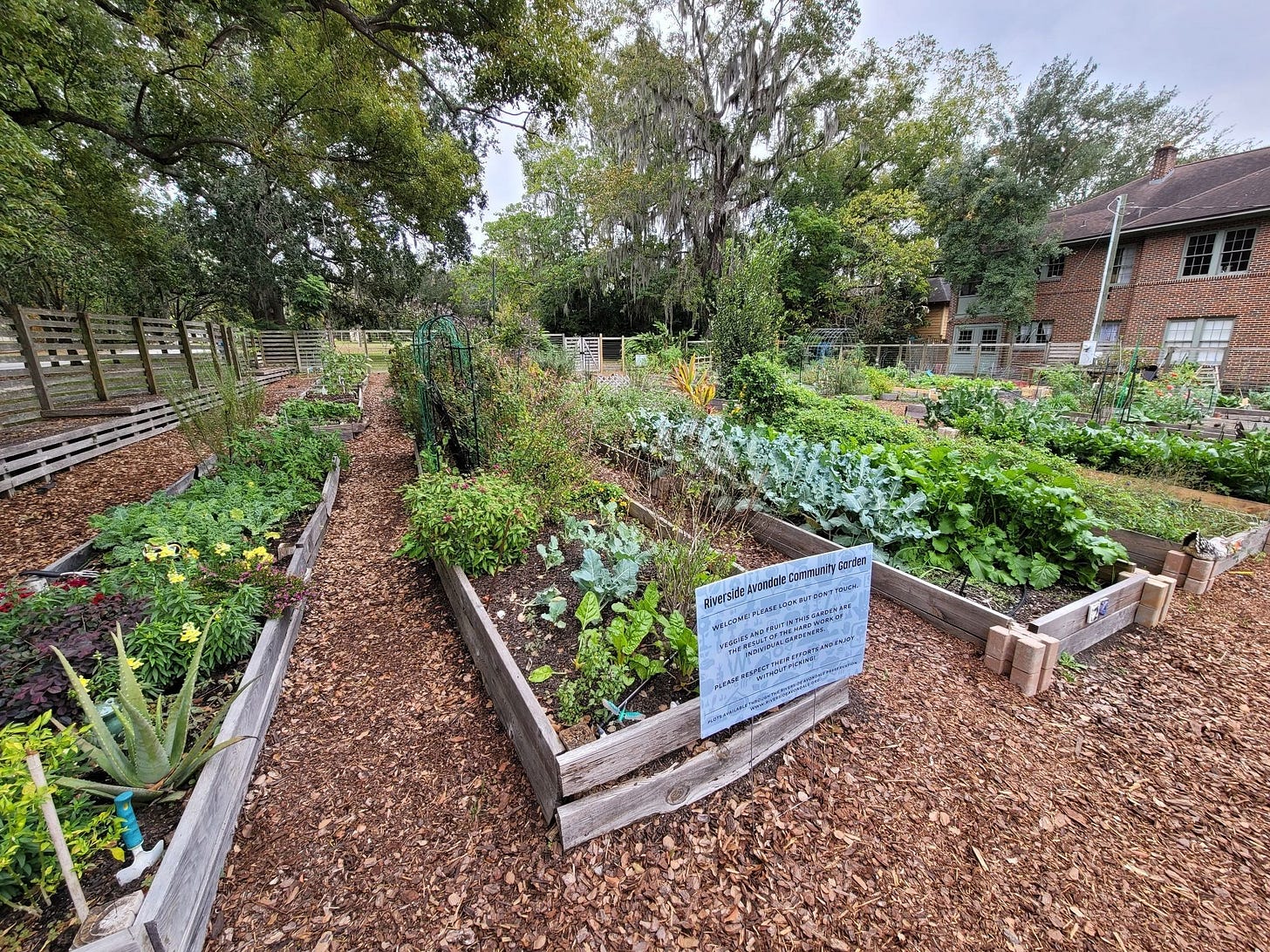 Photo of community garden with different garden patches