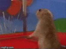Dun Dun Dun Shook GIF - Dun Dun Dun Shook - Discover & Share GIFs