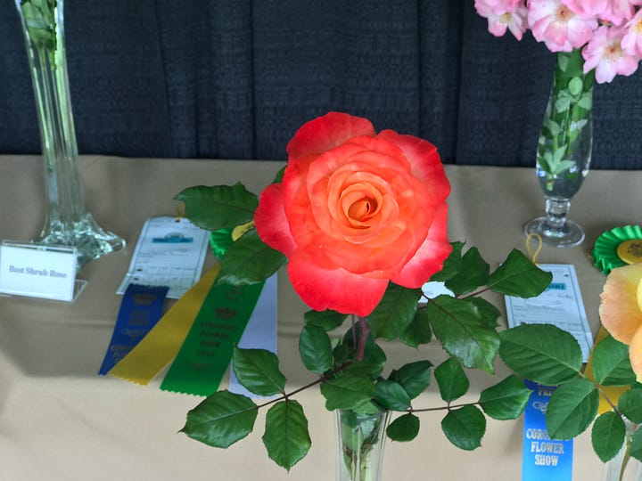 Rose, table design, orchids, bonsai