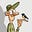 Mars Gremmen's avatar