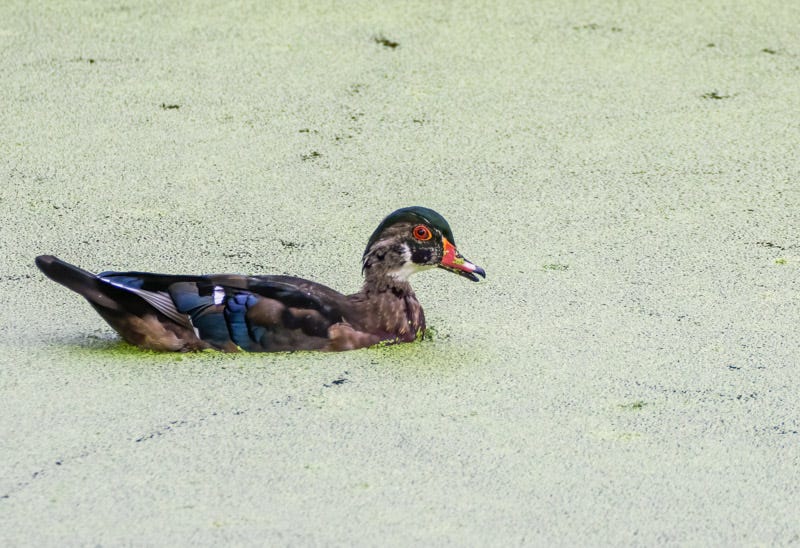 20250918-Sweetwater-79-Edit 2.jpg 20250918-Sweetwater-79-Edit 2.jpg