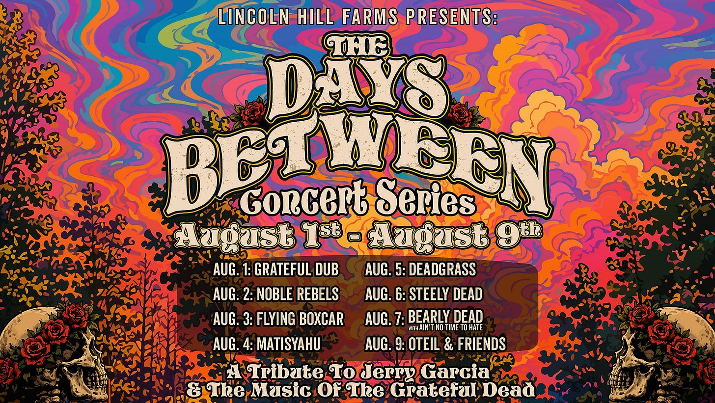 The Days Between: Concert Series