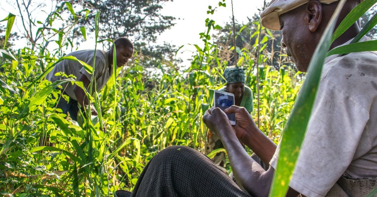 Brastorne, the startup bringing rural Africans online, is expanding to Ivory Coast Brastorne, the startup bringing rural Africans online, is expanding to Ivory Coast