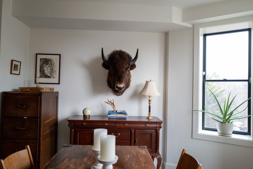 Bill the Bison, DC Bill the Bison, DC
