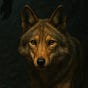 Nick's avatar