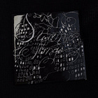 REVIEW: Model/Actriz - Swan Song