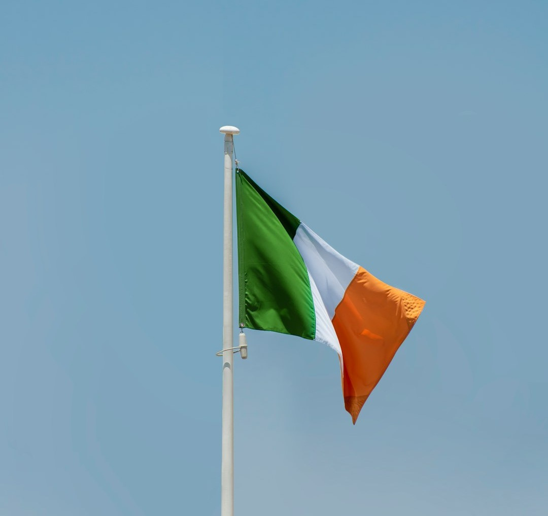 a flag on a pole a flag on a pole