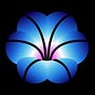 Amaranth Foundation's avatar