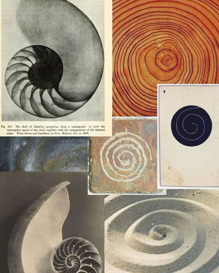 This may contain: an image of art that is collaged in different colors and sizes, including spirals This may contain: an image of art that is collaged in different colors and sizes, including spirals