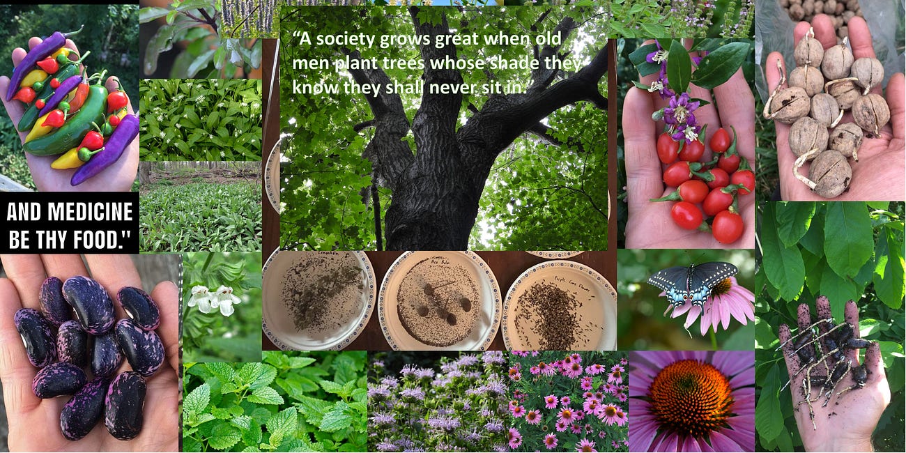 Planting the Cultural Seed of Gift Thinking and Becoming The Antidote For The Wendigo Economy 
