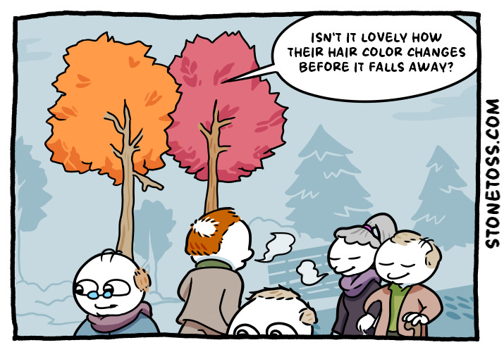 stonetoss comic about fall and hair loss