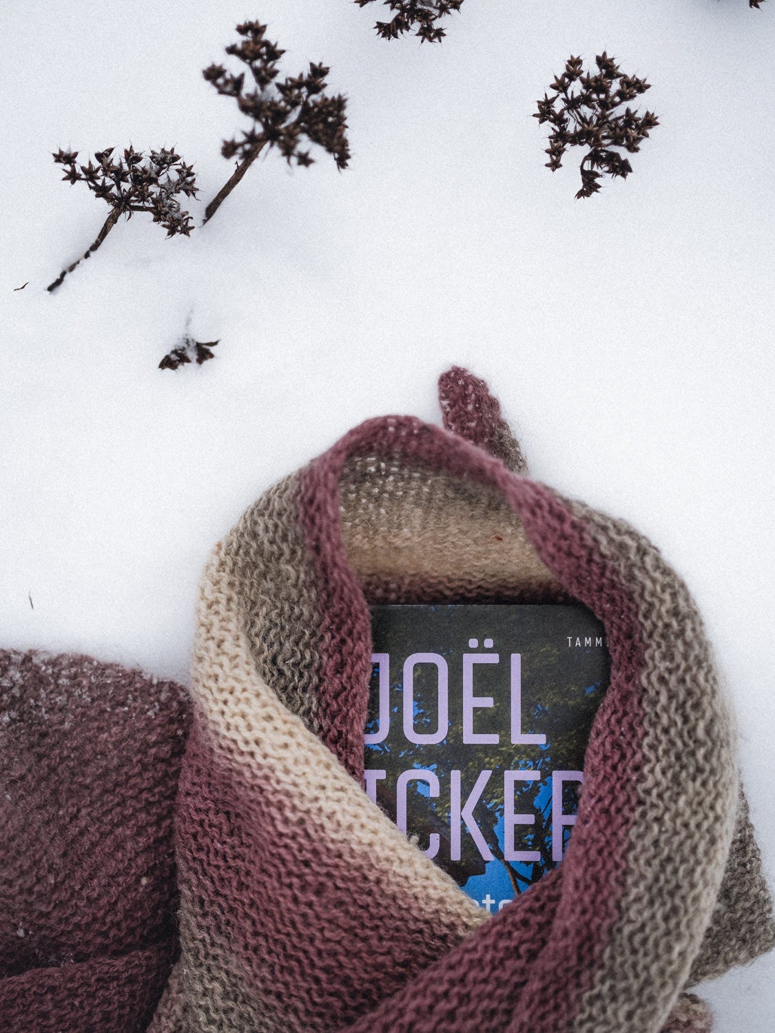 Joel Dicker Villipeto arvostelu