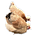 the cherry log