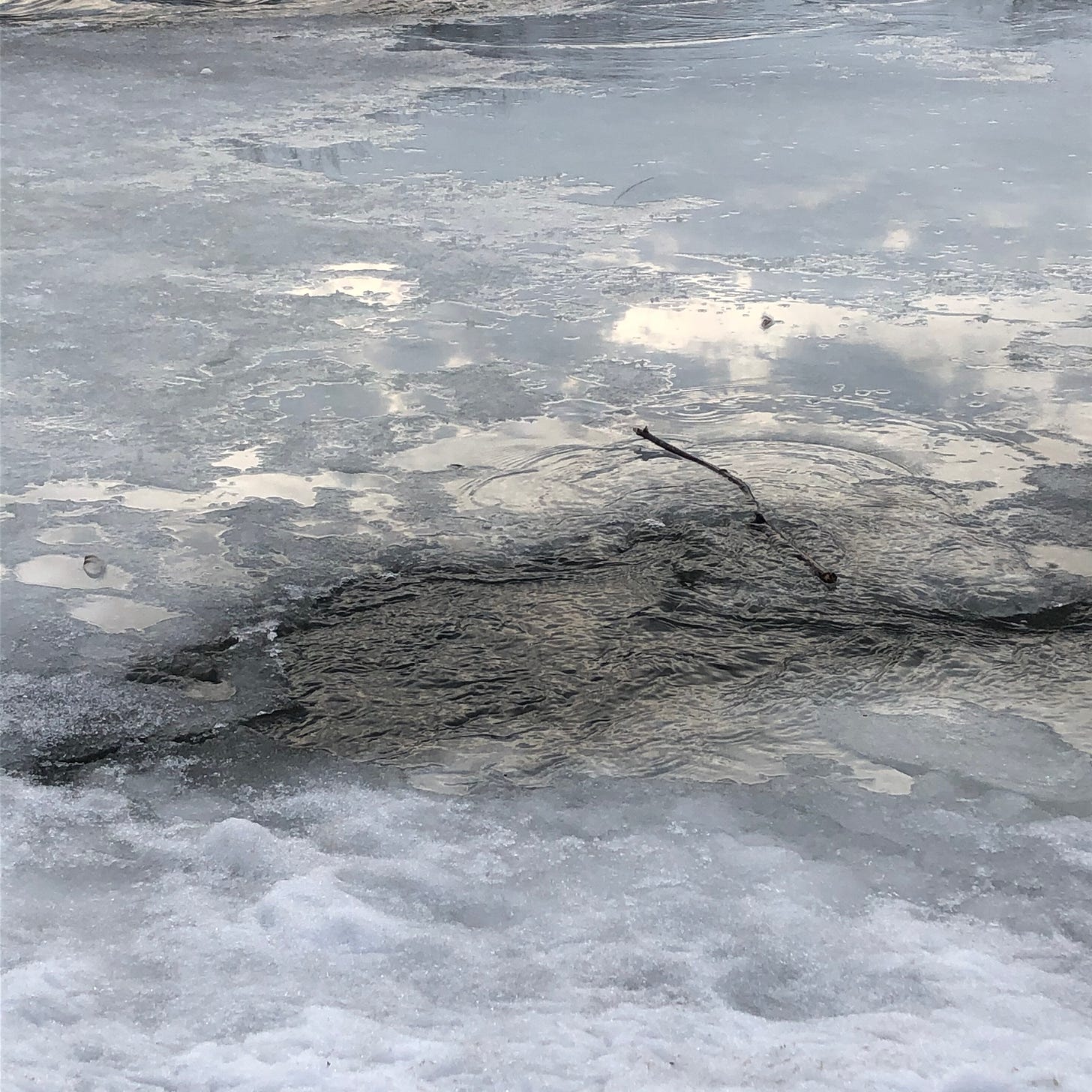 close-up of a partially frozen river in late afternoon, a small stick caught on a scrim of ice, surrounded by ripples and flowing water.