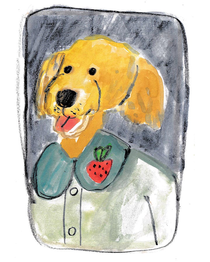 animal school photos illustrated by Beth Spencer