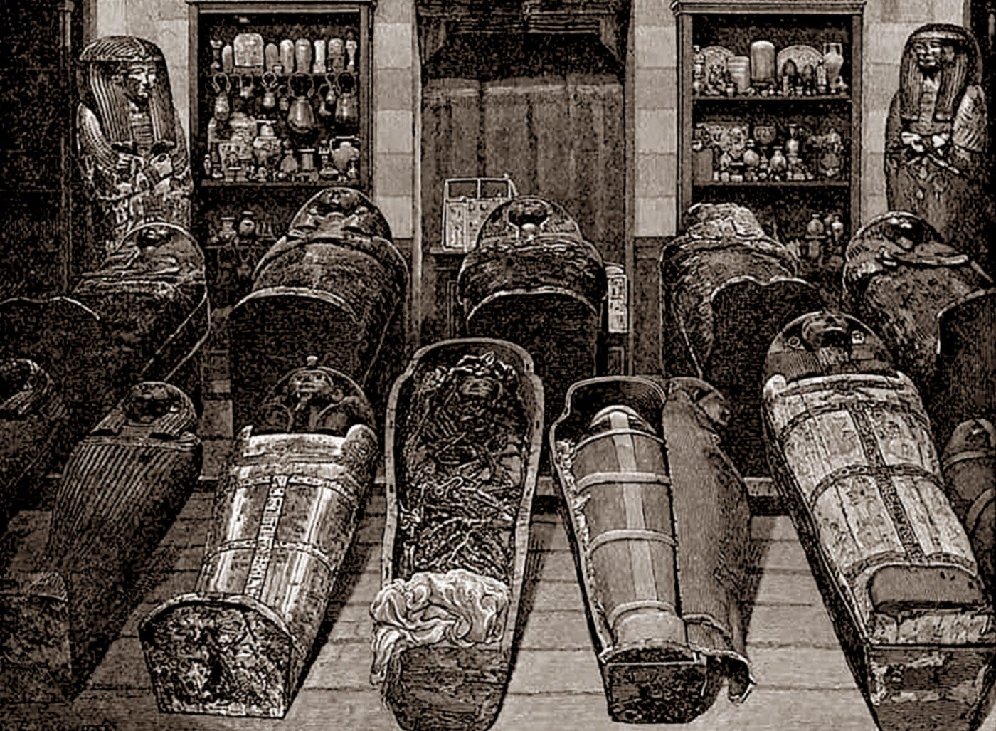 Boolaq museum display royal mummies 1881