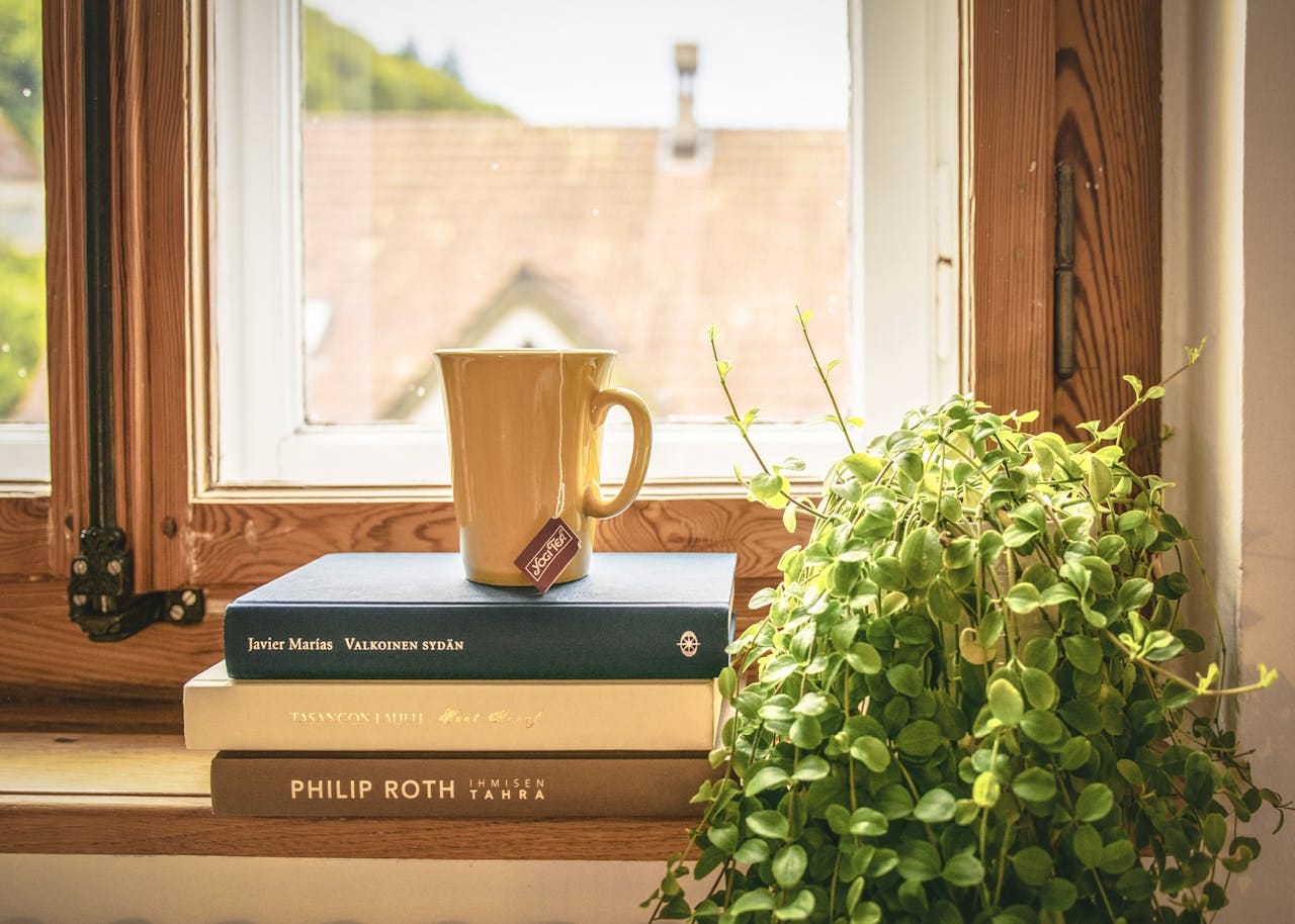 A cup of tea rests on a stack of books in front of a window, with a green plant in the corner.