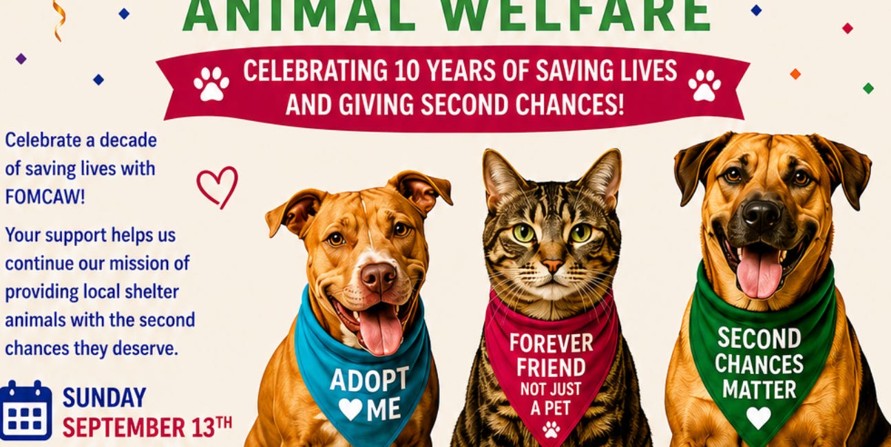 Friends of Manatee County Animal Welfare Celebrates 10 Years of Life Saving Impact with Milestone Birthday Bash at Sarasota Dog Bar