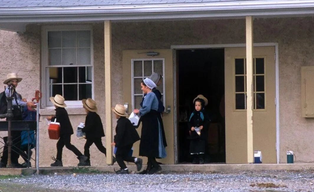 The Amish Are Threatening Mass Exodus From New York Over $118,000 In Fines & Mandatory Vaccine Requirements
