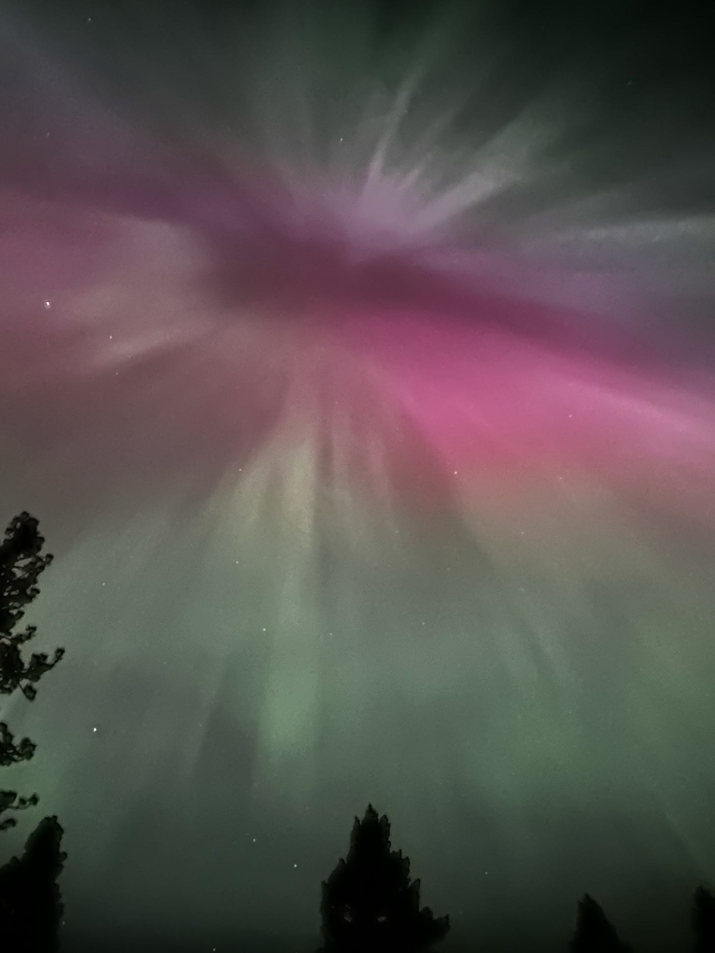Coronal aurora
