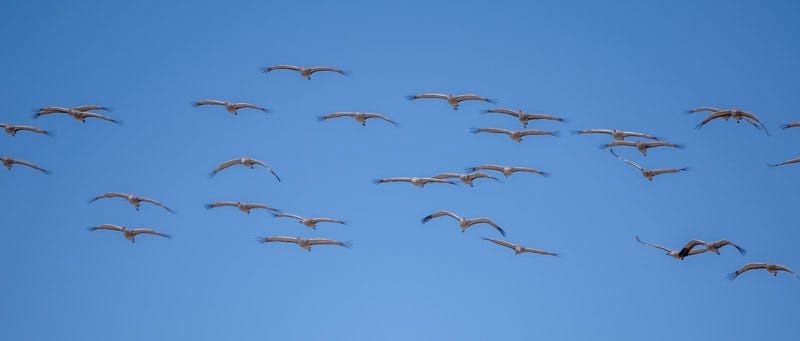 20250128-Willcox-45-Edit.jpg 20250128-Willcox-45-Edit.jpg