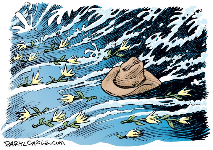 Cartoons: Donald Trump and Texas flood victims