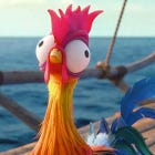 Thanks For All These New Wonkette Subscribers, Jeff Bezos Of The Washington Post!