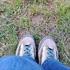 Camminare sul confine tra animali umani e non umani