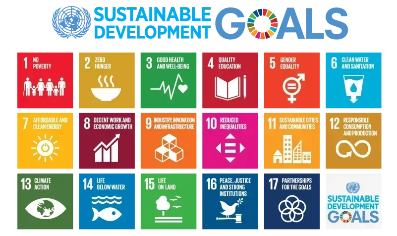 The United Nations 17 Sustainable Development Goals (SDGs)