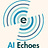 AI Echoes