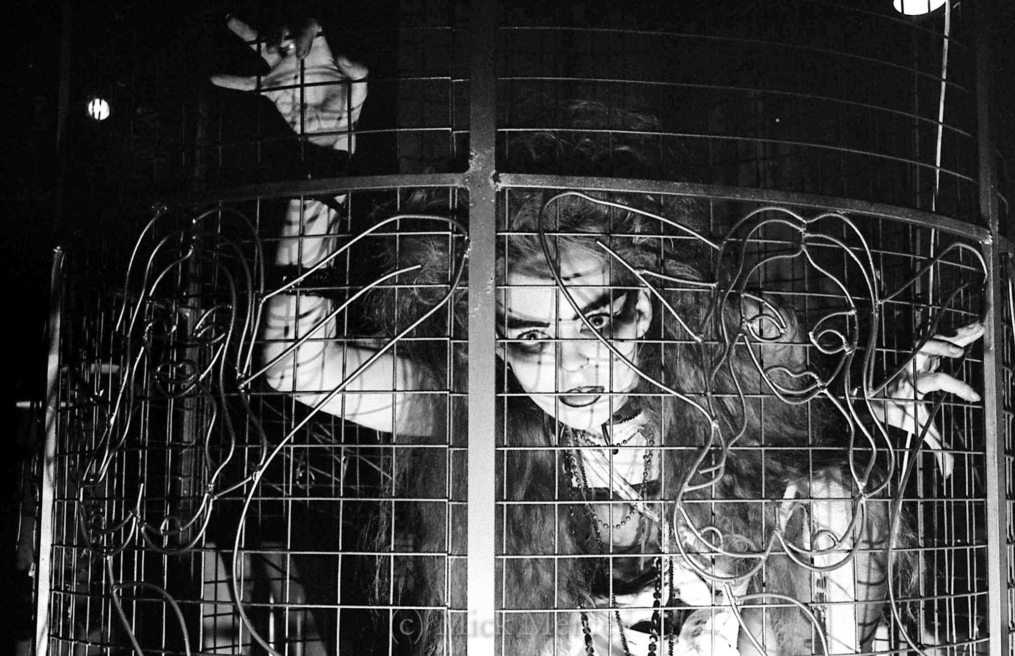 ON THIS DAY  in 1983 - DANIELLE DAX