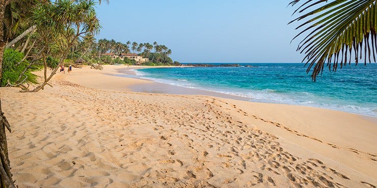 No alt text provided for this image