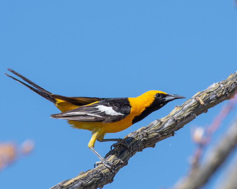 20200614_MBY-50.jpg 20200614_MBY-50.jpg