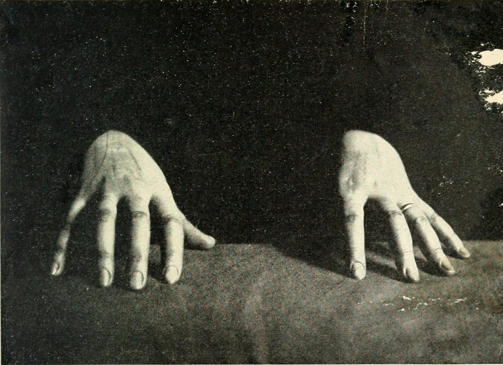 Image from page 387 of "Eusapia Palladino and her phenomen… | Flickr