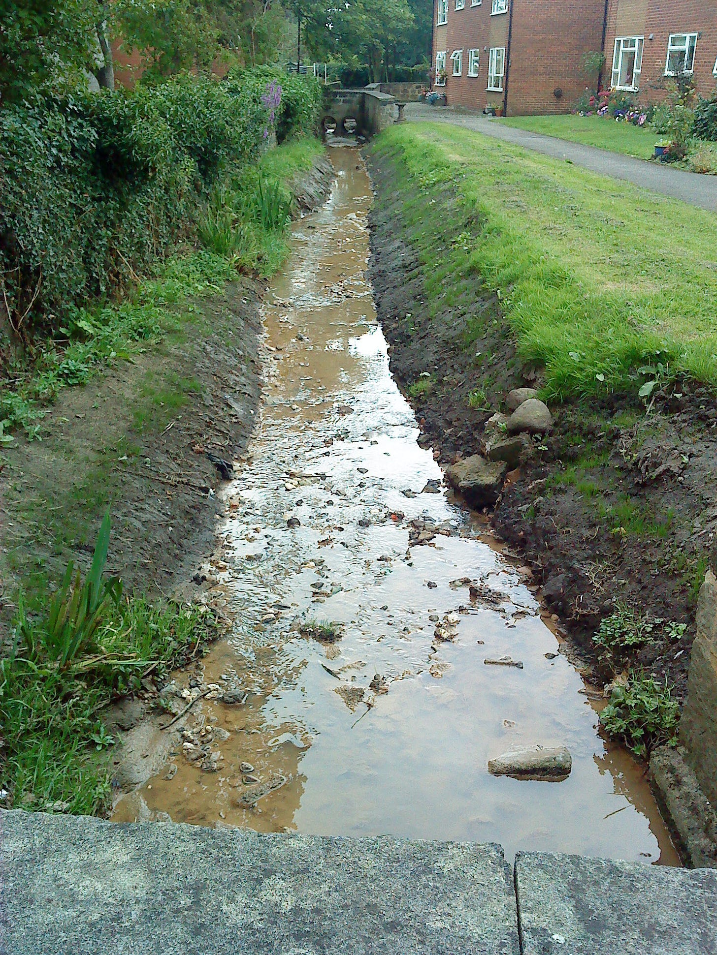 A small brown stream trickles under a bridge.