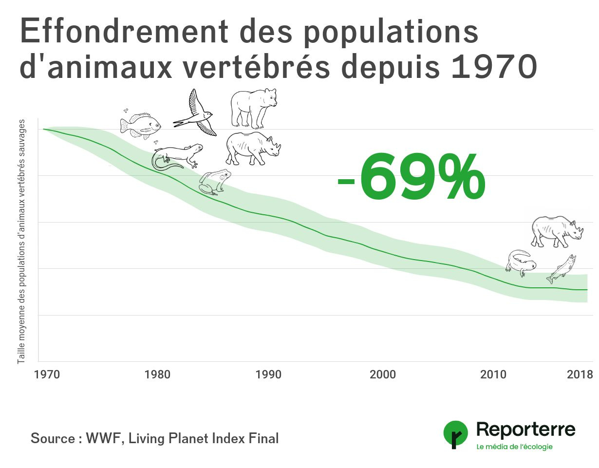 COP 15 de la biodiversité : l'extinction de masse, tout le monde s'en ... COP 15 de la biodiversité : l'extinction de masse, tout le monde s'en ...