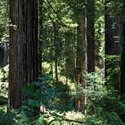 A Deep Dive Into the Biodiversity of America’s National Parks