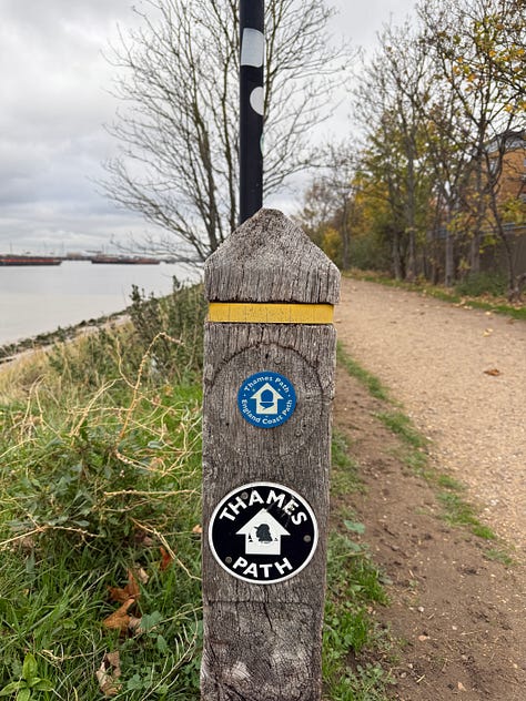 Photos of a hawthorn tree, a blackberry bush and a post with signs for the England Coast Path and Thames Path