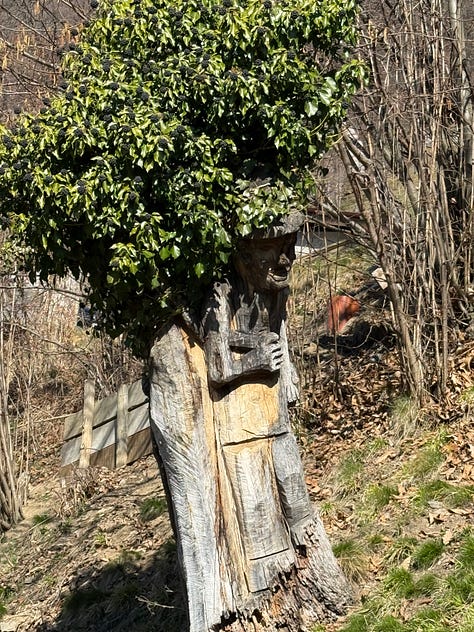 Carved faces in tree stumps