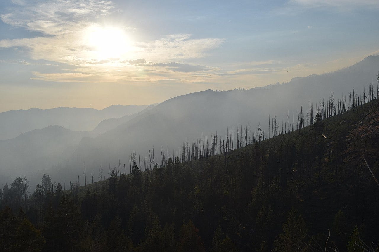 https://en.wikipedia.org/wiki/McNally_Fire#/media/File:2017_07_08-09.33.06.280-CDT.jpg