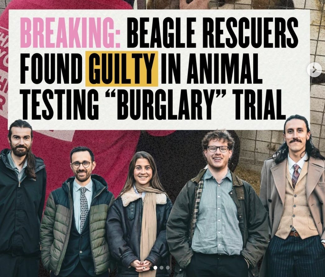 Beaglegate Factcheck Four Takeaways from the Shocking Conviction in the Beagle Rescue Trial